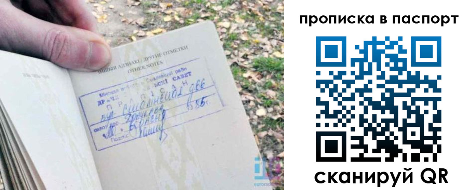 временная регистрация собственник в Ростовской области
